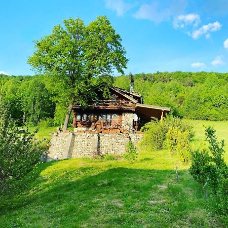 Cabana Vanatorului Рышнов Экстерьер фото