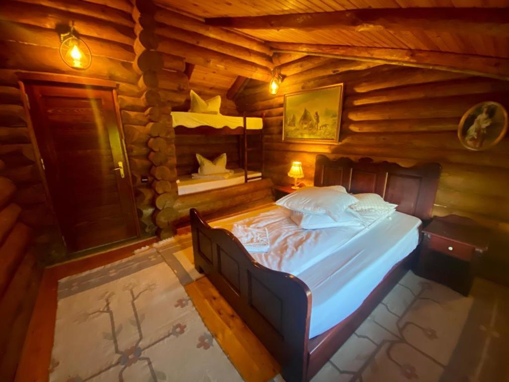 Cabana Vanatorului Рышнов Экстерьер фото