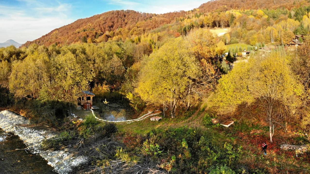 Cabana Vanatorului Рышнов Экстерьер фото