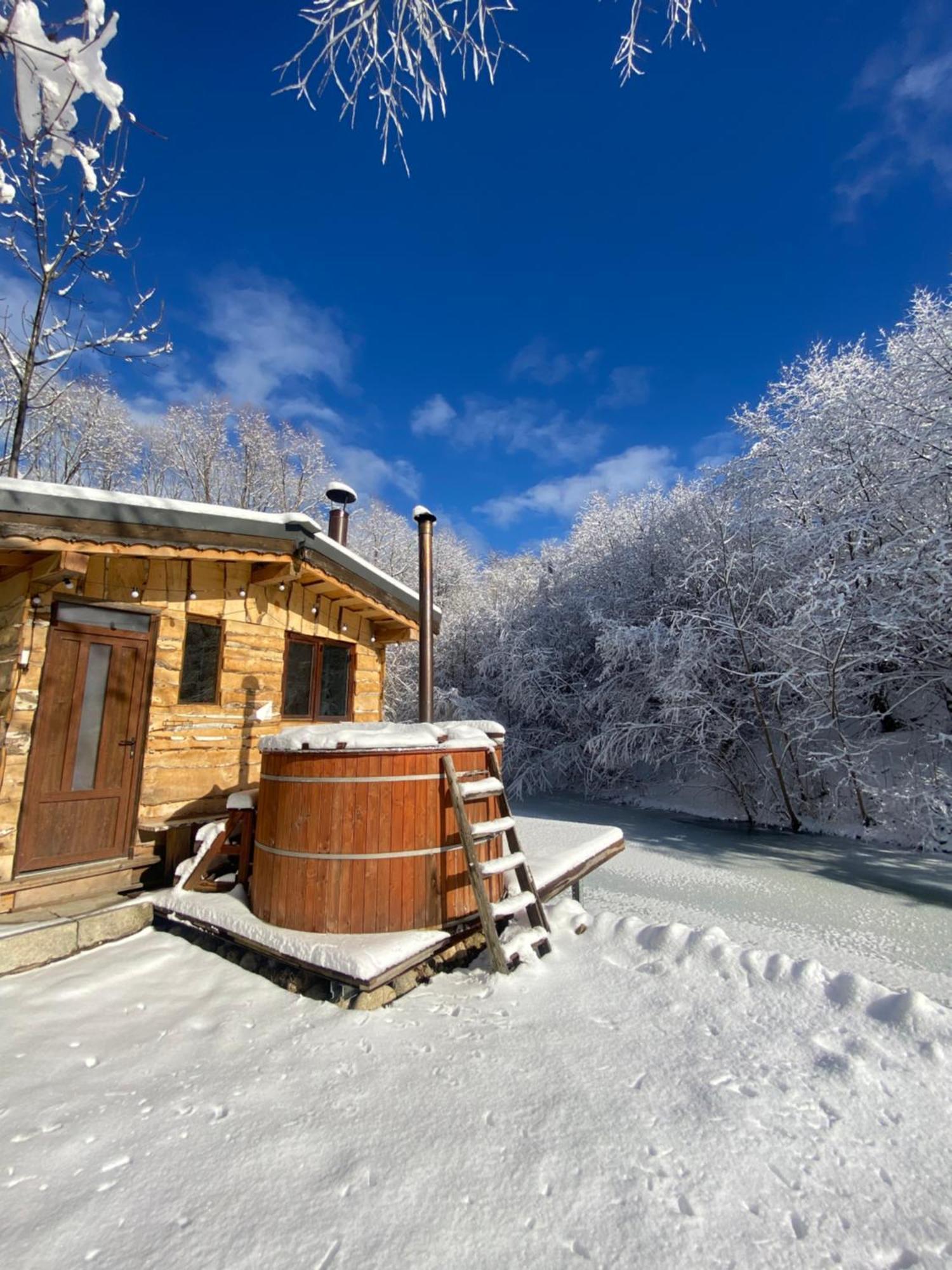 Cabana Vanatorului Рышнов Экстерьер фото
